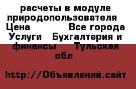 расчеты в модуле природопользователя › Цена ­ 3 000 - Все города Услуги » Бухгалтерия и финансы   . Тульская обл.